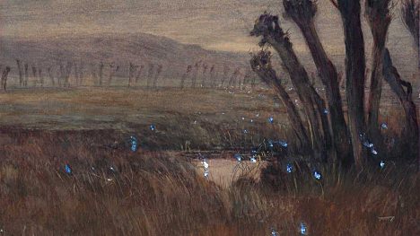 KRNAP Získal Bludičku