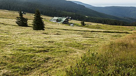 Sezona na krkonošských loukách končí
