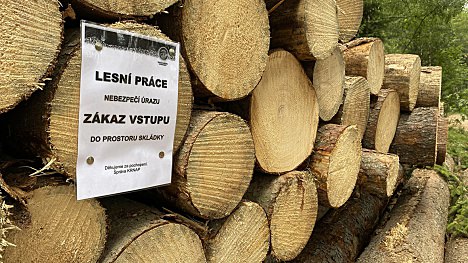 Skládky dřeva nejsou dětské prolézačky!