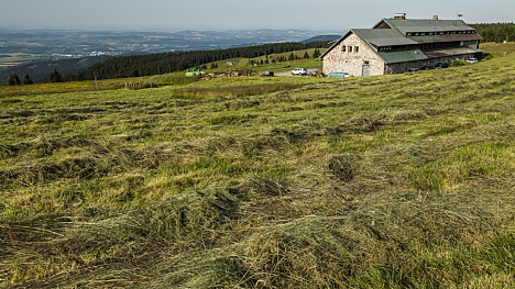 Finanční příspěvek na péči o trvalé travní porosty