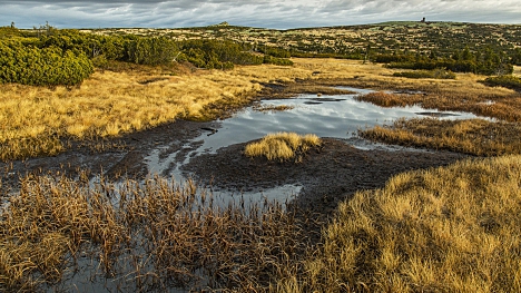 Krkonošský národní park slaví 60. výročí založení