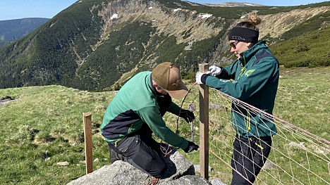 Přírodu na Sněžce budou opět chránit sítě