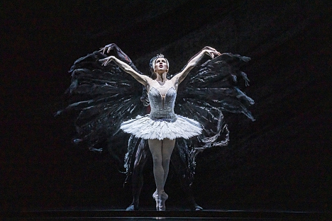 Královský balet: Labutí jezero