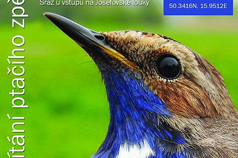 VÍTÁNÍ PTAČÍHO ZPĚVU