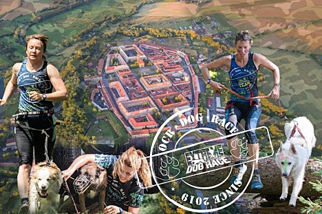 EXTREME DOG RACE MILITARY JOSEFOV