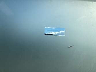 ART-IN-RES - In search of a bird