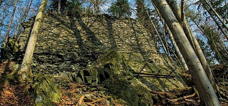 Štěpanice – zřícenina hradu