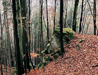 Rychlovský hrádek (Hradiště) – zbytky hrádku