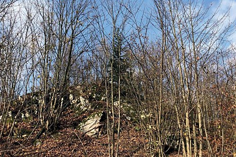 Purkhýbl – stopy hradu