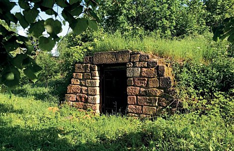 Javorník – tvrziště