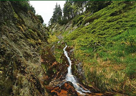 Kaskády Rudného potoka