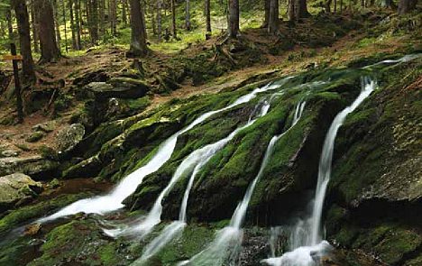 Zelený a Liščí vodopád